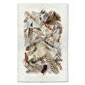 Collective Feathers