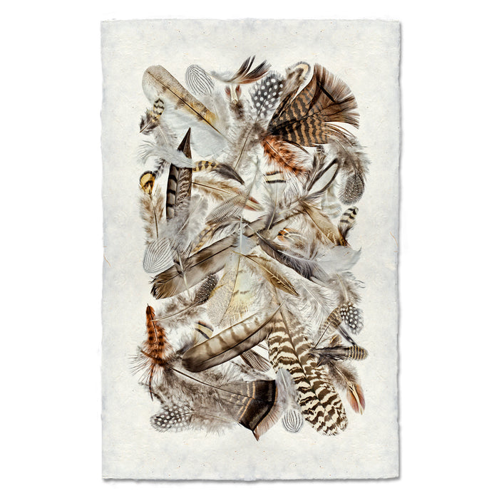 Collective Feathers