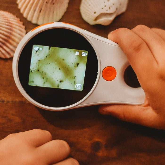 Hand holding a digital microscopes with shells on a wooden surface