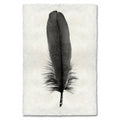 Feather Study #6 (Goose) black and white wall art print — fine art black and white photography on handmade paper, San Francisco