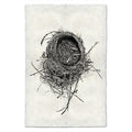 Nest Study #11 black and white wall art print — fine art black and white photography on handmade paper, San Francisco