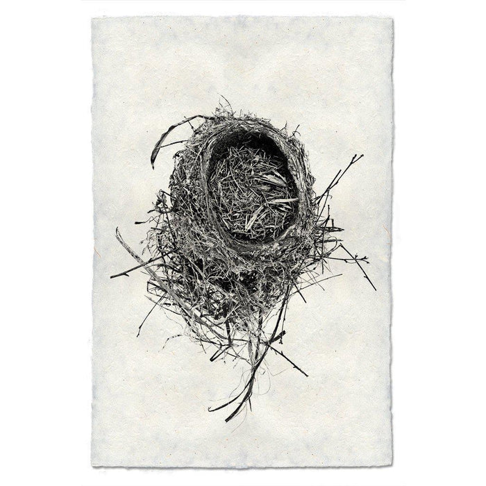 Nest Study #11 black and white wall art print — fine art black and white photography on handmade paper, San Francisco