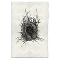 Nest Study #12 black and white wall art print — fine art black and white photography on handmade paper, San Francisco