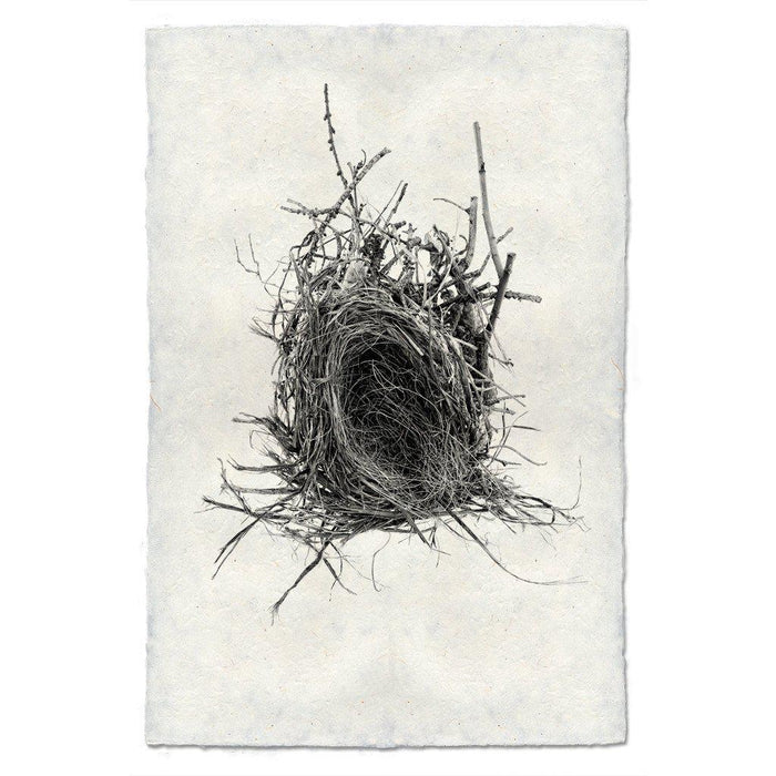 Nest Study #12 black and white wall art print — fine art black and white photography on handmade paper, San Francisco