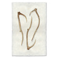 Sheds #5 earthy wall art print — fine art Organic photography on handmade paper, San Francisco
