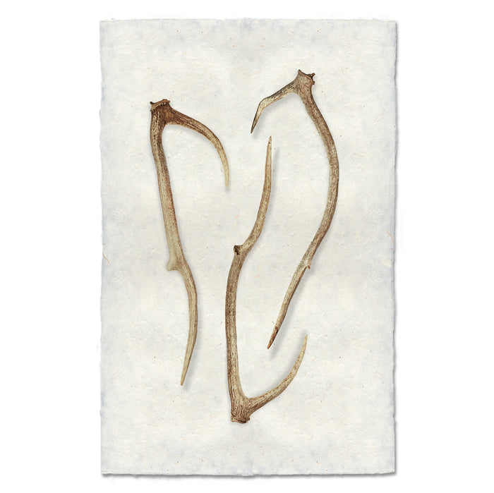 Sheds #5 earthy wall art print — fine art Organic photography on handmade paper, San Francisco