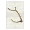 Sheds #6 earthy wall art print — fine art Organic photography on handmade paper, San Francisco
