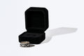 Sterling Silver Dolphin Train Ring